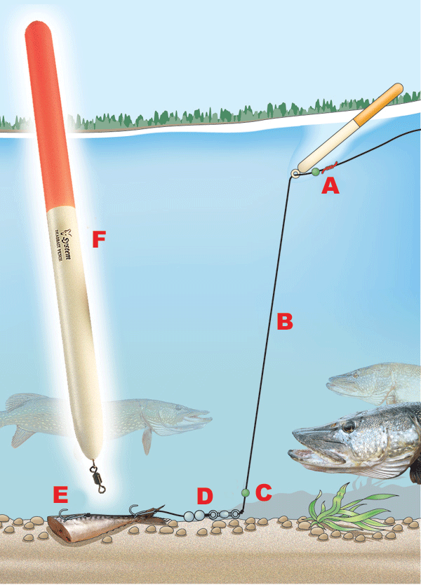 Top 5 tips for Autumn Winter Pike fishing